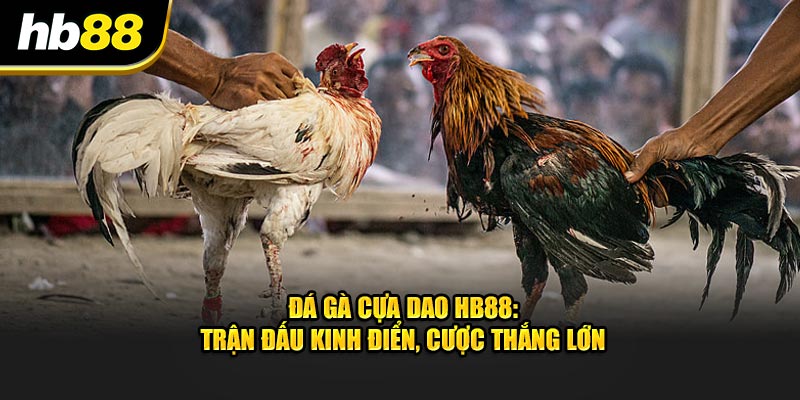 Ảnh đại diện đá gà cựa dao