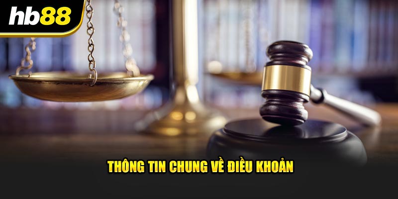 Thông tin chung về điều khoản